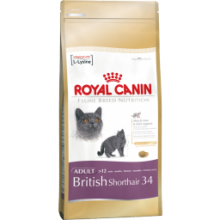 Royal Canin British Shorthair 34 kassitoit briti lühikarvaliselt kassile, 4 kg